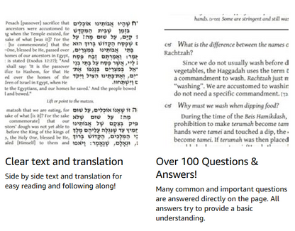 The Essential Haggadah for Pesach